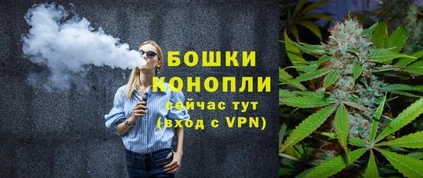 прущие грибы Балахна