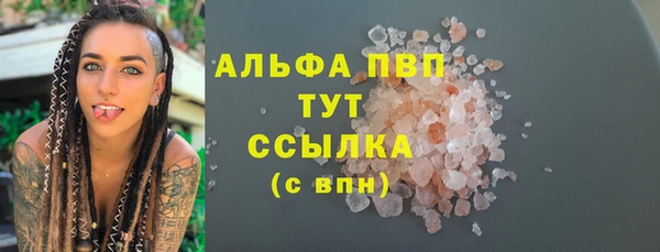 прущие грибы Балахна