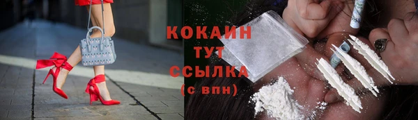 прущие грибы Балахна