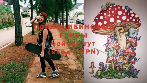 прущие грибы Балахна