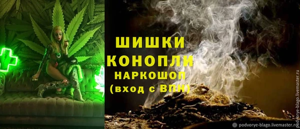 прущие грибы Балахна