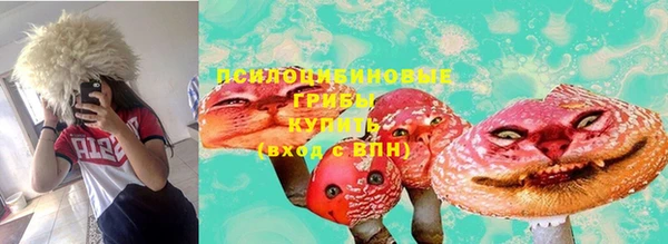 прущие грибы Балахна