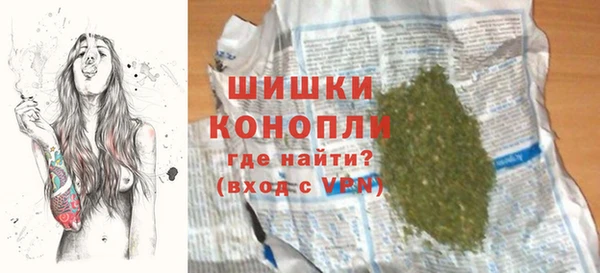 прущие грибы Балахна