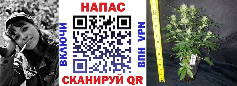 Конопля SATIVA & INDICA  Давлеканово 